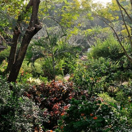 Gaia'S Garden Guest House ออโรวิลล์ ภายนอก รูปภาพ