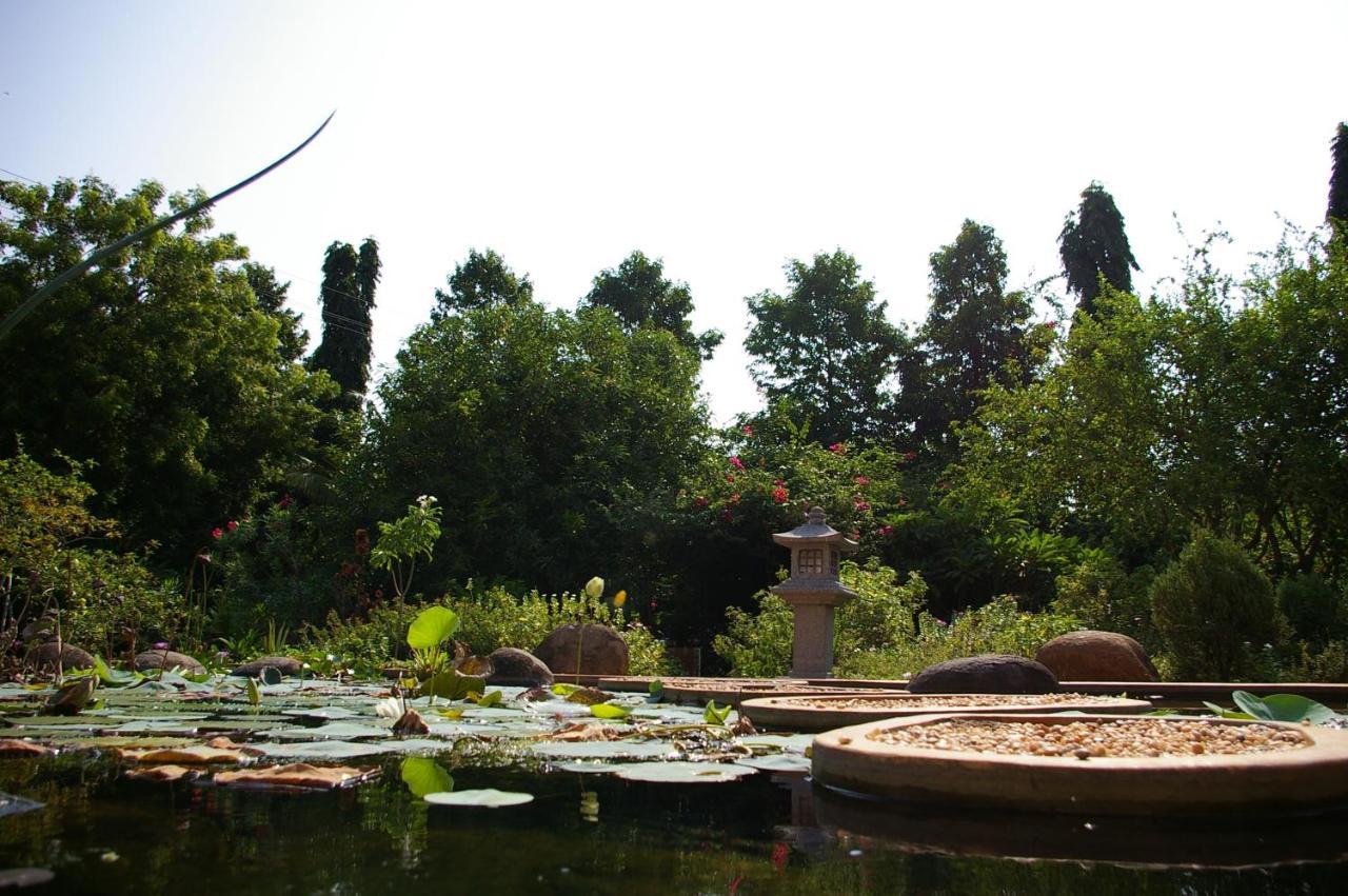 Gaia'S Garden Guest House ออโรวิลล์ ภายนอก รูปภาพ