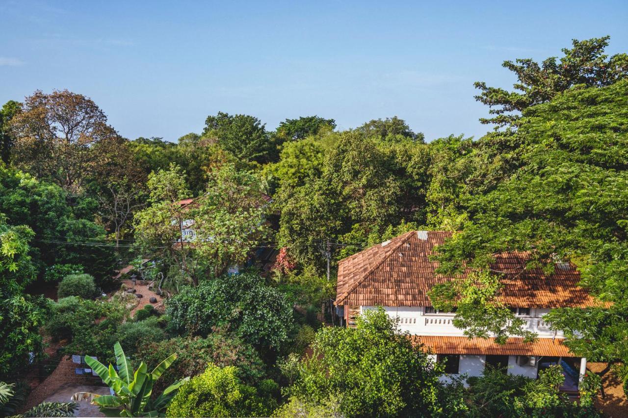 Gaia'S Garden Guest House ออโรวิลล์ ภายนอก รูปภาพ