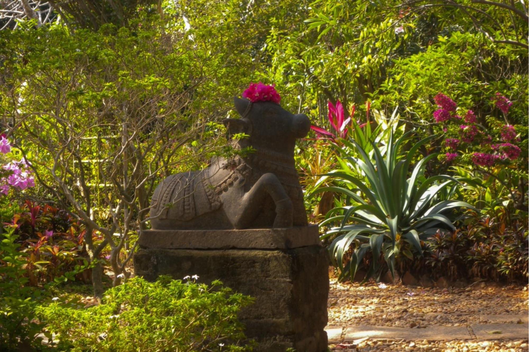 Gaia'S Garden Guest House ออโรวิลล์ ภายนอก รูปภาพ