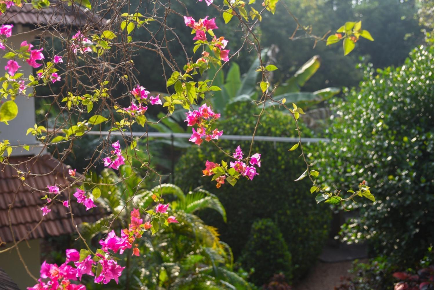 Gaia'S Garden Guest House ออโรวิลล์ ภายนอก รูปภาพ