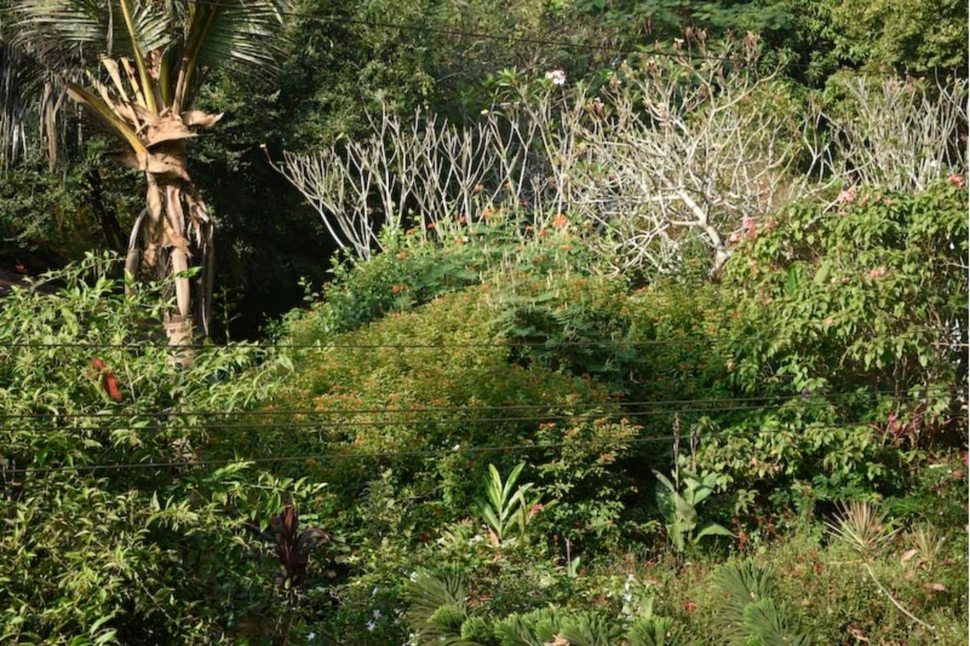Gaia'S Garden Guest House ออโรวิลล์ ภายนอก รูปภาพ