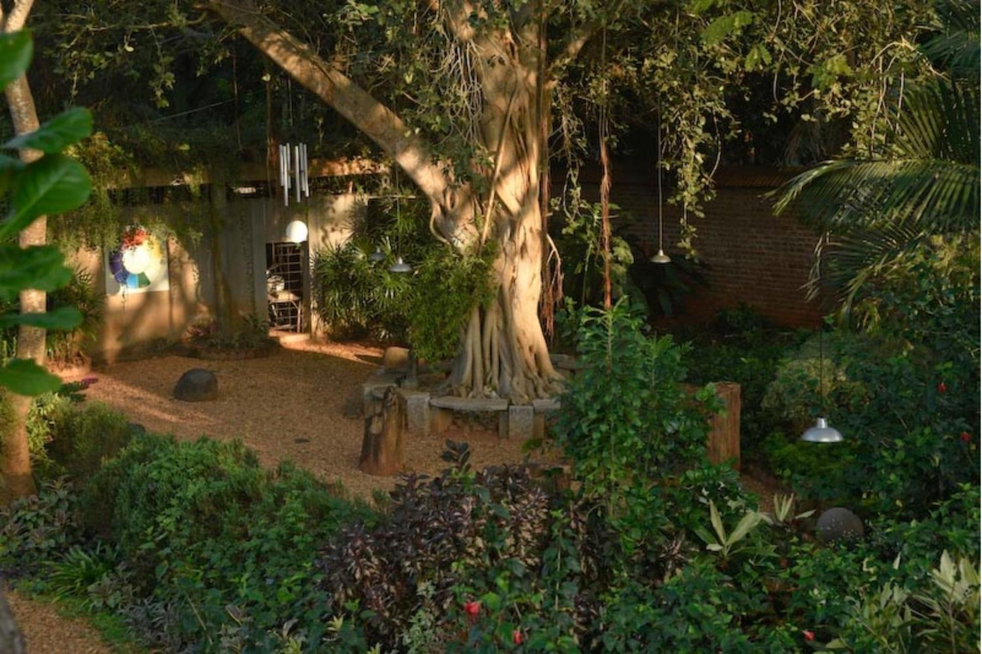 Gaia'S Garden Guest House ออโรวิลล์ ภายนอก รูปภาพ
