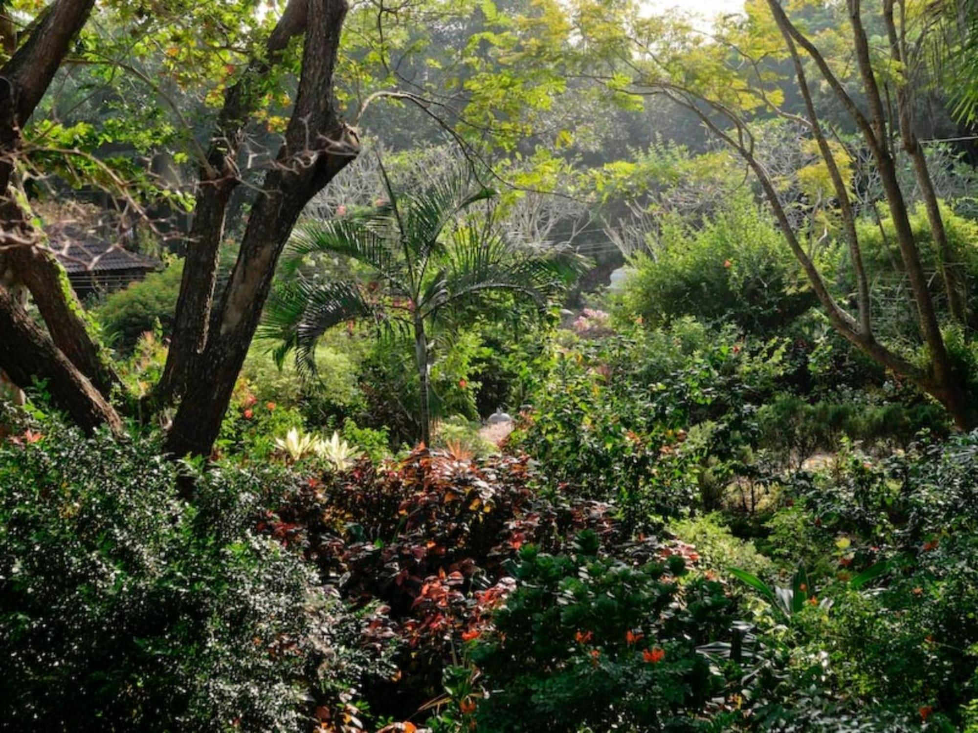 Gaia'S Garden Guest House ออโรวิลล์ ภายนอก รูปภาพ